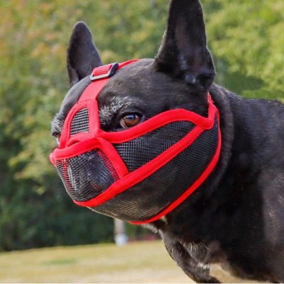 Muselière chien bouledogue français rouge en maille respirante pour promenades sécurisées – BullyComfort