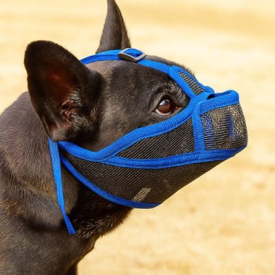 Muselière chien bouledogue français noire et bleue pour sécurité et confort – BullyComfort