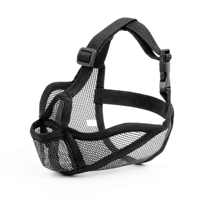 museliere chien museau plat noire sur bouledogue francais packshot