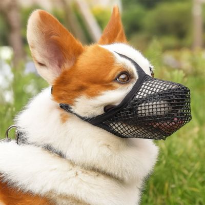 muselière chien respirante sur petit chien à poil court – cage en nylon