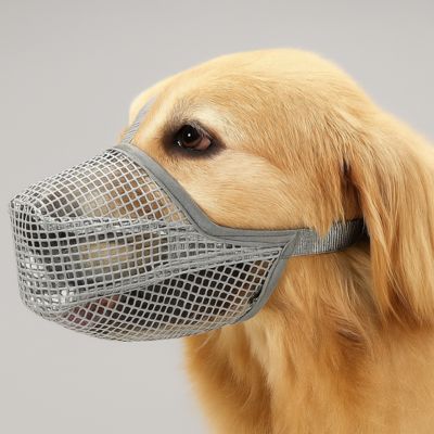 muselière chien grise souple sur golden retriever en intérieur – cage en nylon