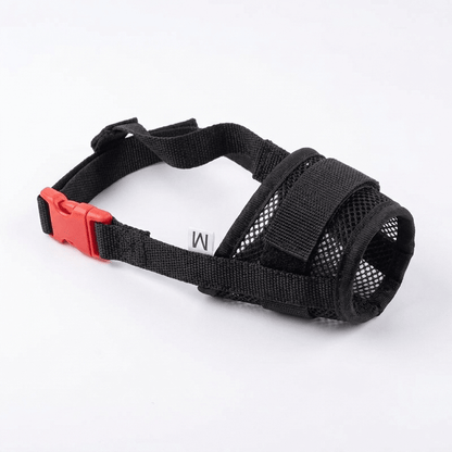 museliere chien a clip de securite noire packshot produit