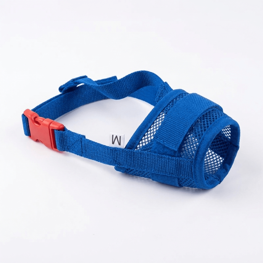 museliere chien a clip de securite bleue packshot produit