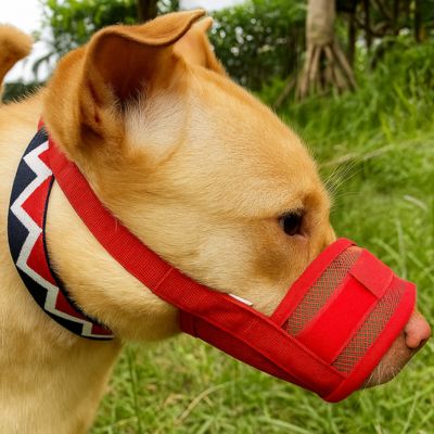 Muselière chien rouge anti morsure avec maille renforcée pour promenade sécurisée – Confort Plus | Chienstore