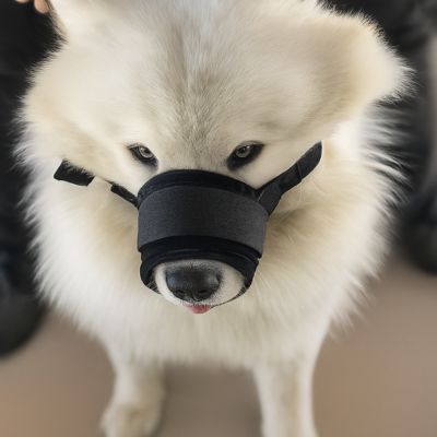 Muselière chien noire douce et sécurisée pour chiens blancs à museau large – Confort Plus | Chienstore