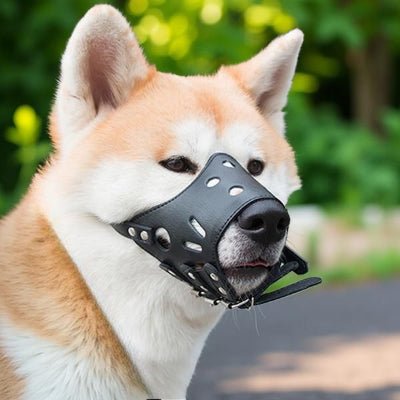 Muselière chien marron élégante en cuir souple | CuirProtect™