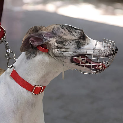 museliere chien museau long acier inoxydable levriguard detail zoom dents vue de face