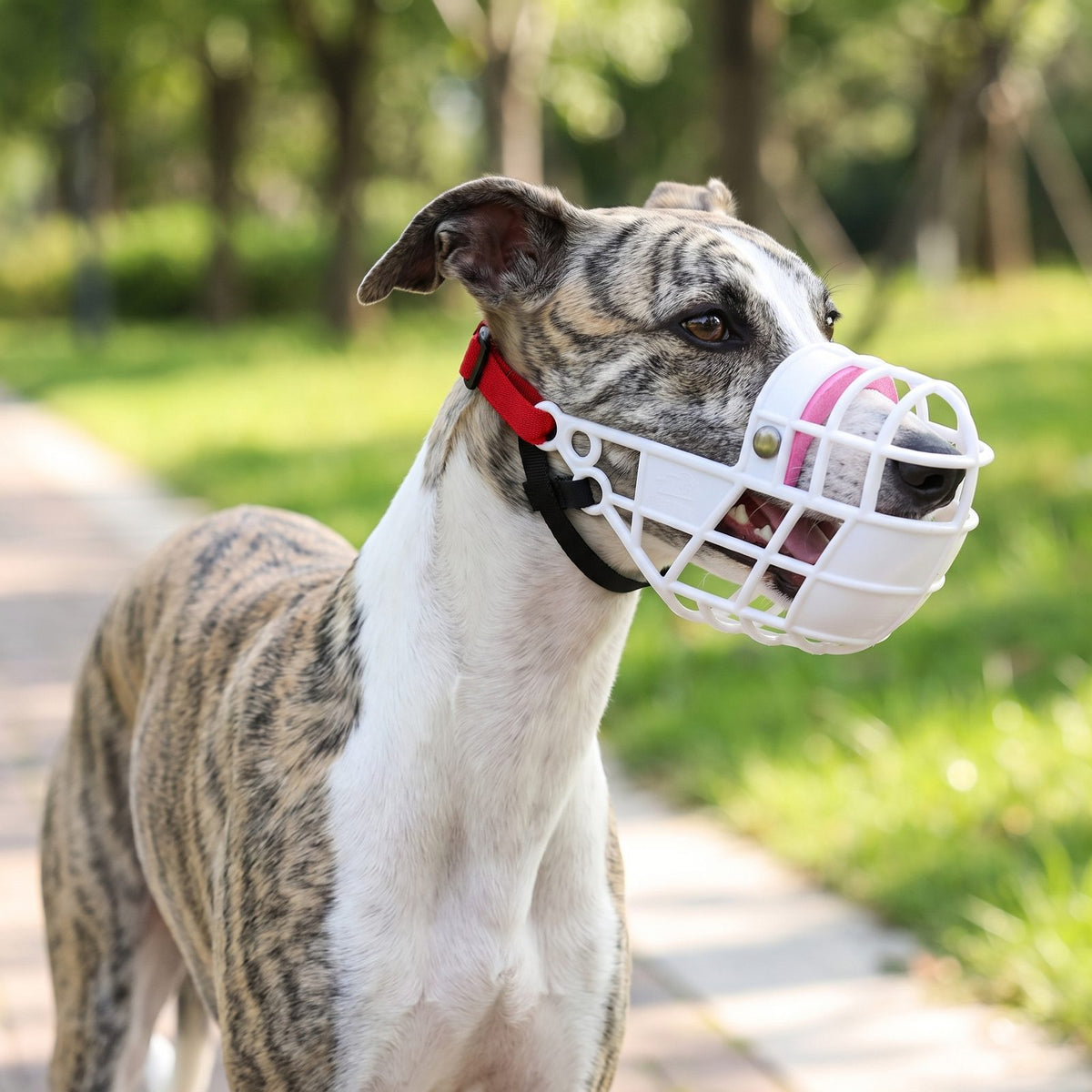 Chien portant une muselière chien panier plastique blanche avec coussinet rose
