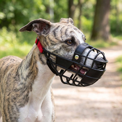 Chien au repos portant une muselière chien panier plastique noire, vue de profil