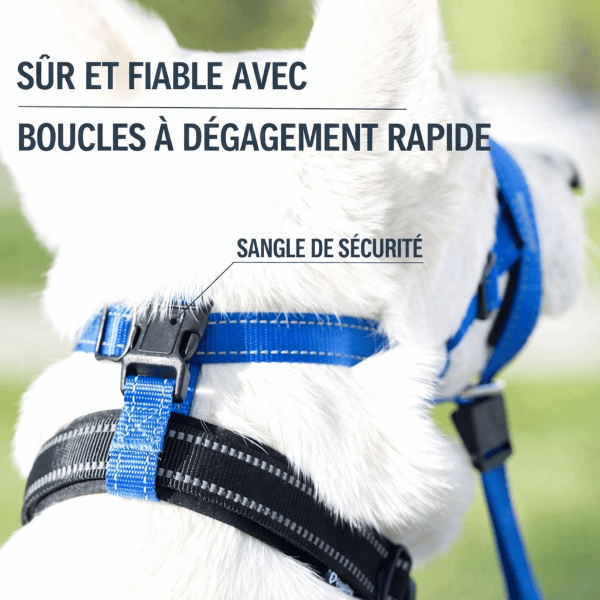 Detail boucle de securite a degagement rapide sur museliere chien SnoutEase pour un maintien fiable