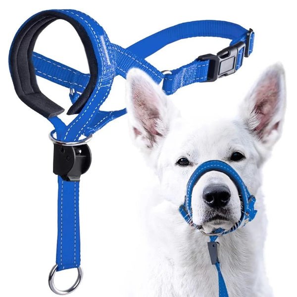 museliere chien SnoutEase bleu ajustable portée par chien blanc en promenade avec laisse, controle doux et securise
