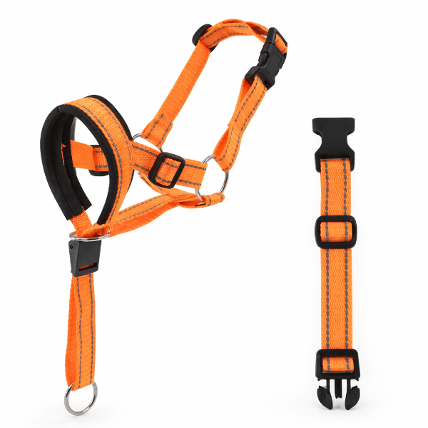 Museliere chien SnoutEase orange reglable vue produit complete avec sangle et boucle de securite