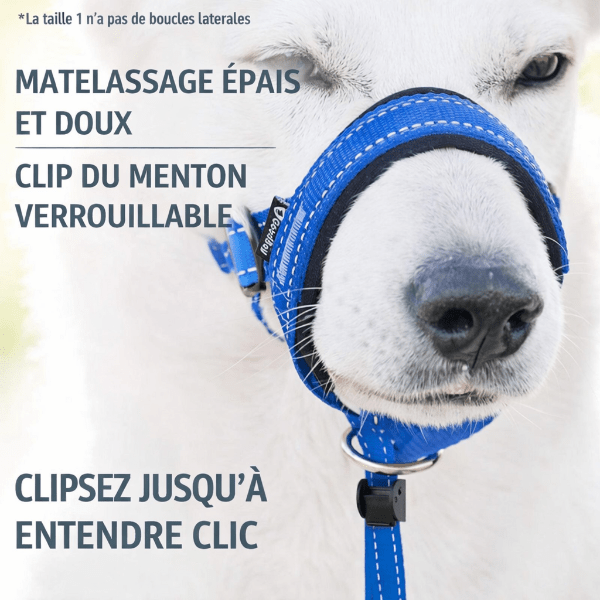 Gros plan museliere chien SnoutEase avec matelassage epais et doux pour le confort du museau