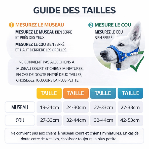 Guide des tailles museliere chien SnoutEase tableau des mesures museau et cou pour choisir la bonne taille