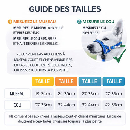 Guide des tailles museliere chien SnoutEase tableau des mesures museau et cou pour choisir la bonne taille