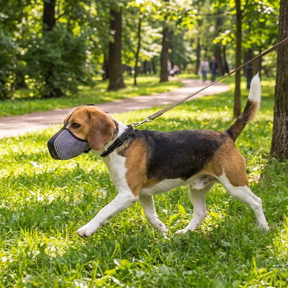 museliere chien tissu pied-de-poule beagle en laisse promenade dans un parc