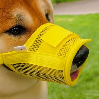 Muselière chien respirante jaune petit chien museau court MusoLight