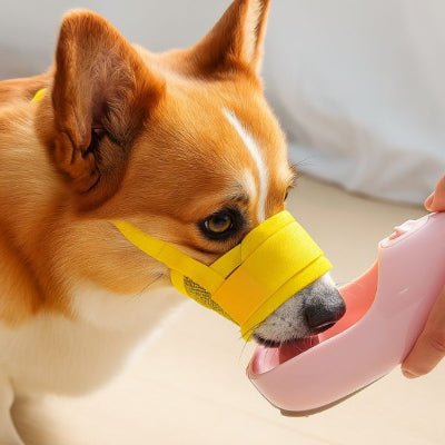 Muselière chien respirante pour boire avec confort – MusoLight