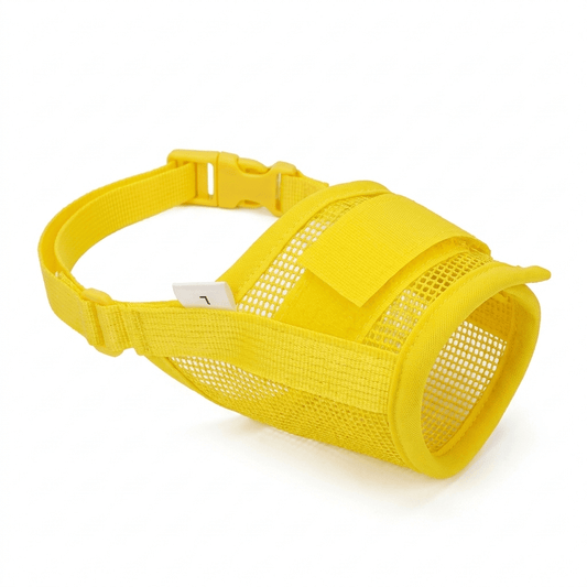 museliere chien poids plume jaune packshot produit