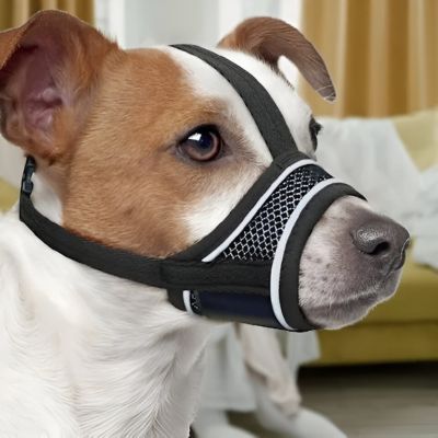 Muselière chien noire ajustable sur petit chien blanc design ergonomique ZenMuzzle