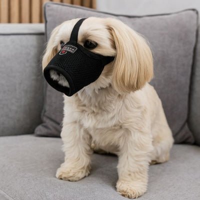 Muselière petit chien noire légère et douce pour un usage domestique