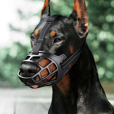 Muselière pour chien en action sur doberman – sécurité, confort et maintien optimal BitingDog™