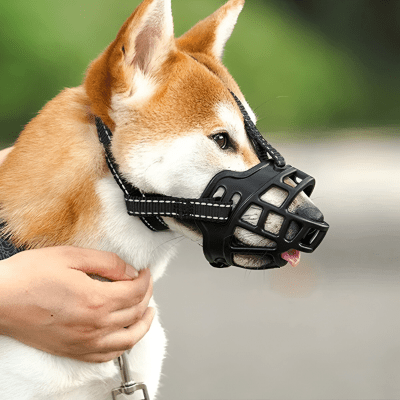 Muselière pour chien | BitingDog™ - Chien store