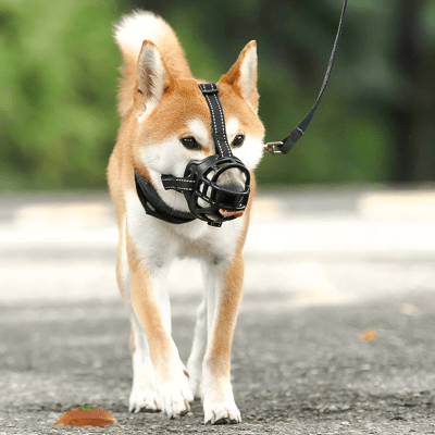 Muselière pour chien | BitingDog™ - Chien store