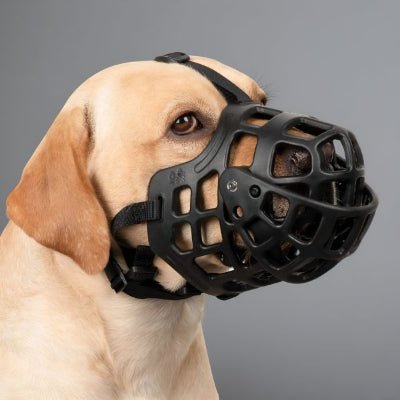 muselière pour chien labrador noir silicone sécurité MuzoFlex