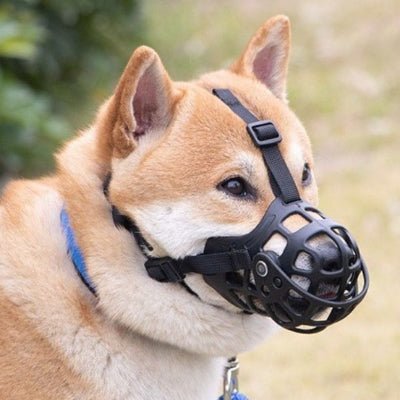 museliere pour chien shiba inu ergonomique ajustable MuzoFlex