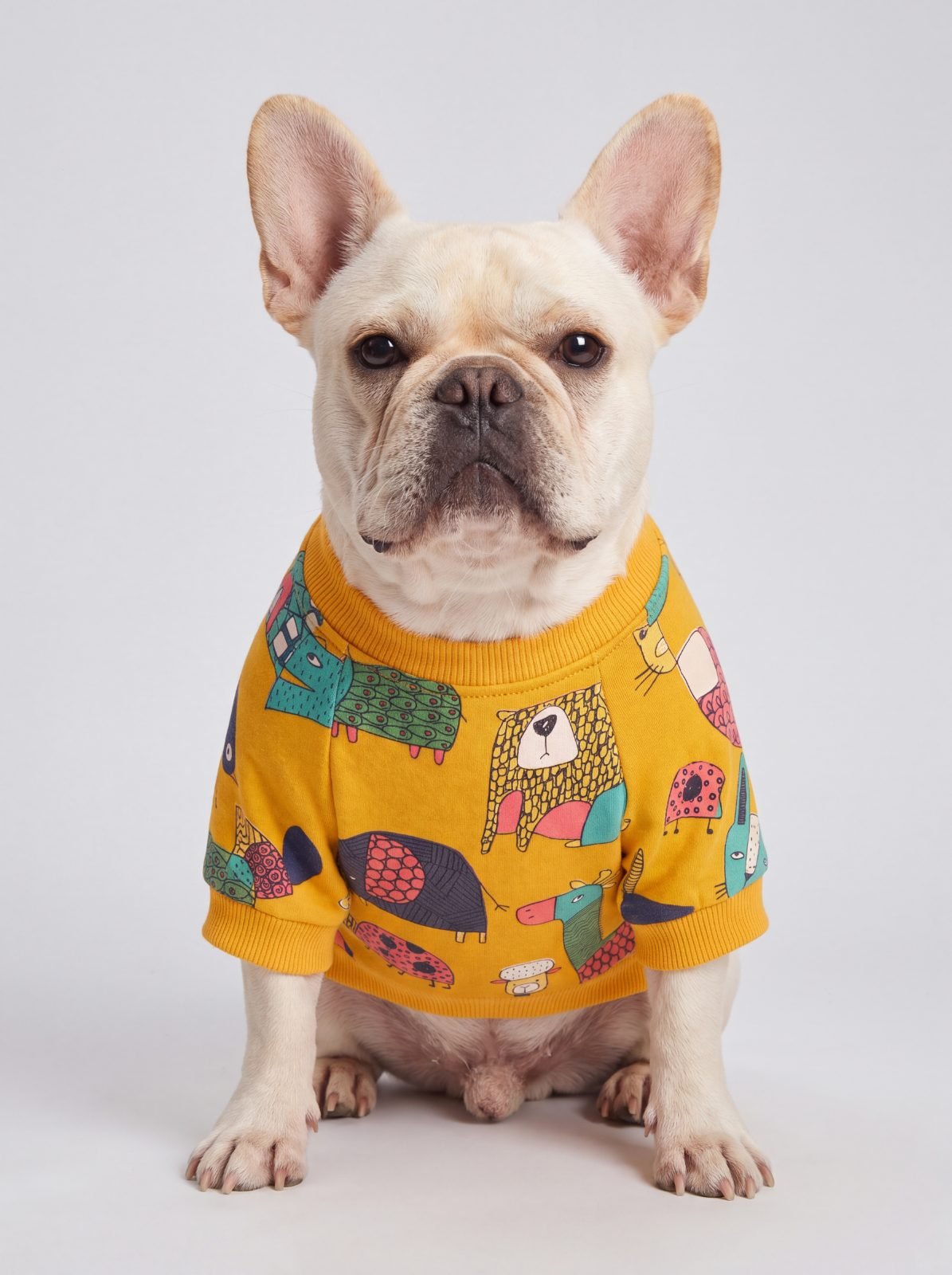 Bouledogue français assis de face portant un pull chien jaune doublé polaire à motif d'animaux colorés