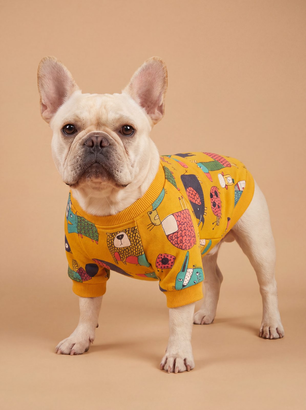 Bouledogue français de trois-quarts portant un pull chien jaune moutarde à motif d'animaux colorés