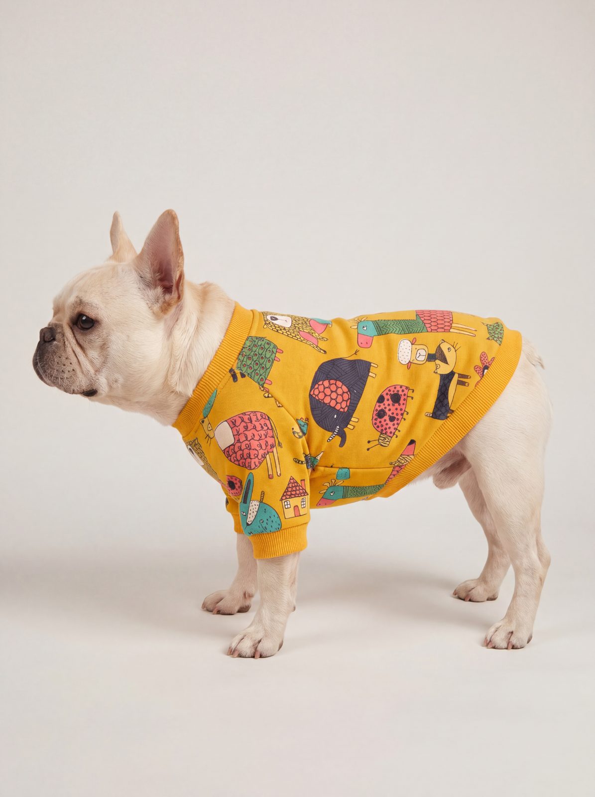 Bouledogue français de profil portant un pull chien jaune doublé polaire à motif d'animaux
