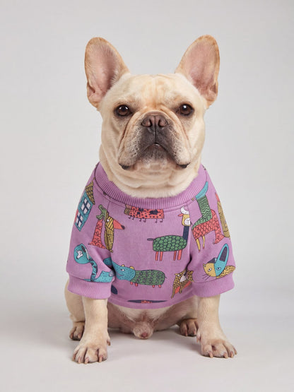 Bouledogue français assis de face en studio avec un pull chien violet doublé polaire à motif d'animaux colorés