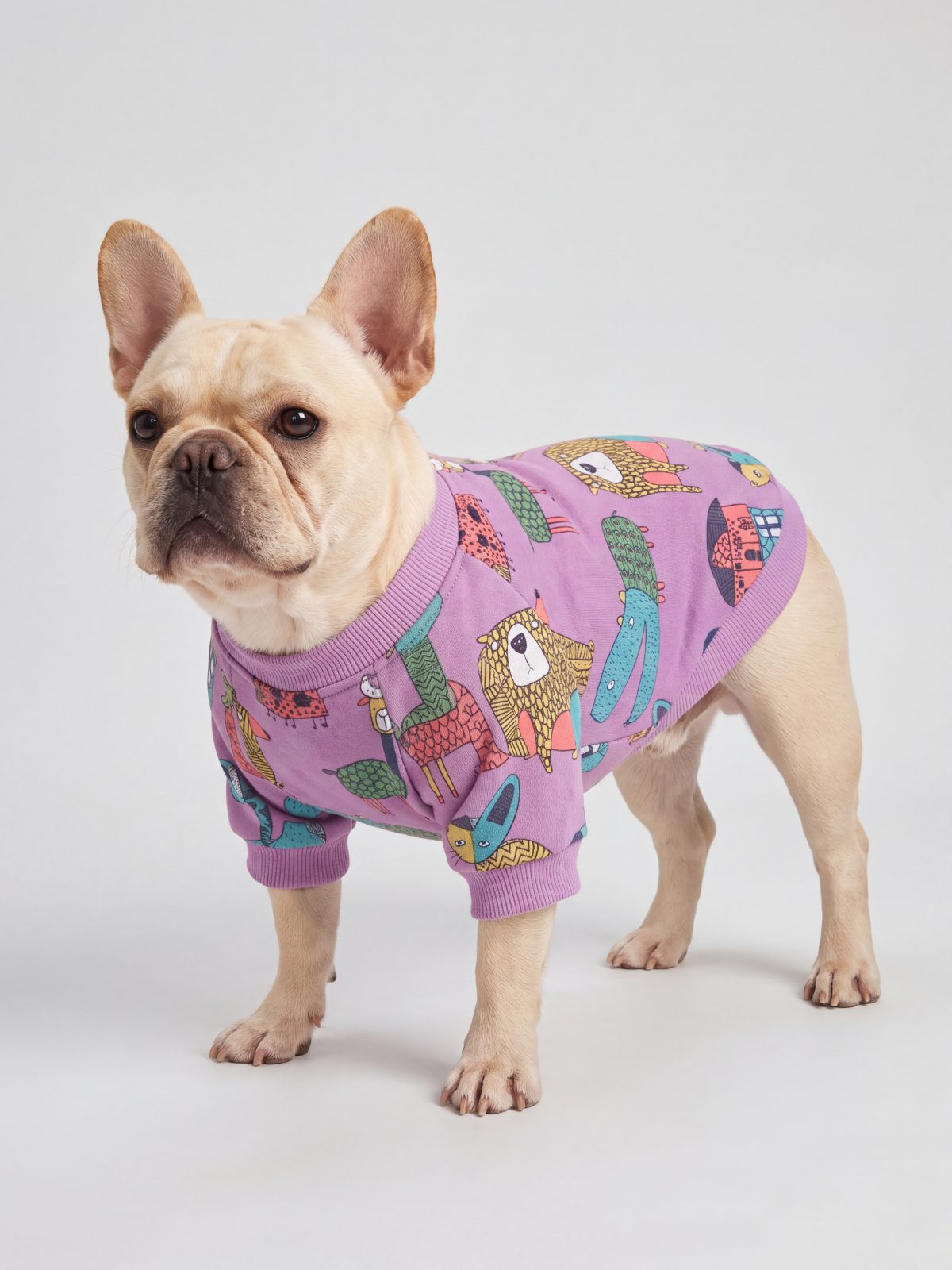 Bouledogue français vu de trois quarts en studio avec un pull chien violet doublé polaire à motif d'animaux colorés