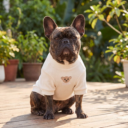 Bouledogue français assis de face sur une terrasse avec un pull côtelé blanc crème à ourson brodé