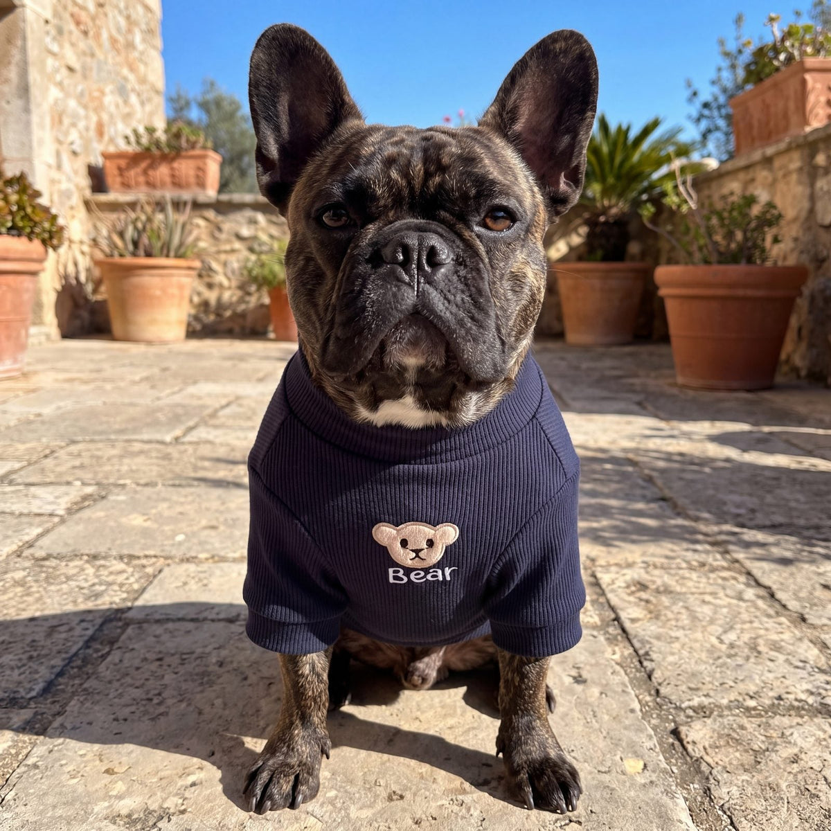 Bouledogue français assis en terrasse portant un pull chien ourson brodé bleu marine