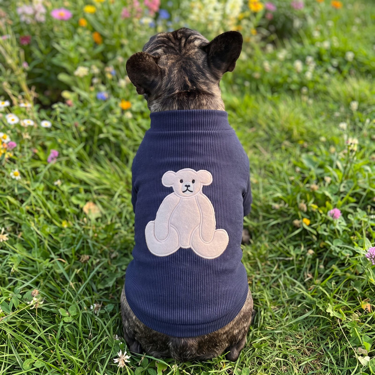 Bouledogue français dans un jardin fleuri, vu de dos, avec un pull chien bleu marine et gros ourson