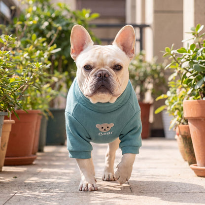 Chien sur une terrasse avec un pull turquoise à grand ourson beige dans le dos
