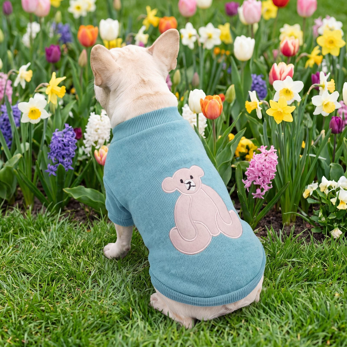 Chien dans un jardin fleuri, vu de dos, avec un pull turquoise et un grand ourson beige