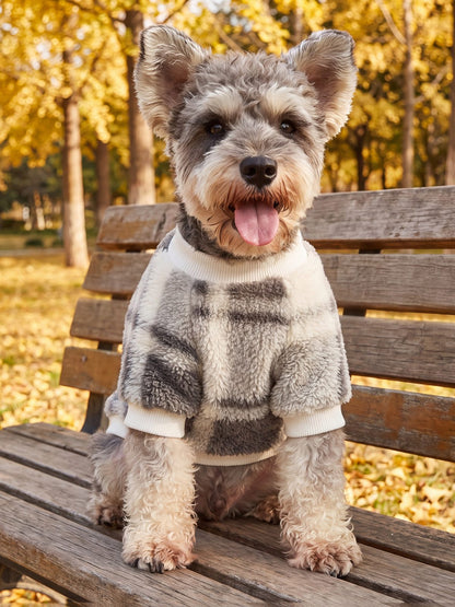Petit chien assis sur un banc avec un pull sherpa à carreaux gris et crème
