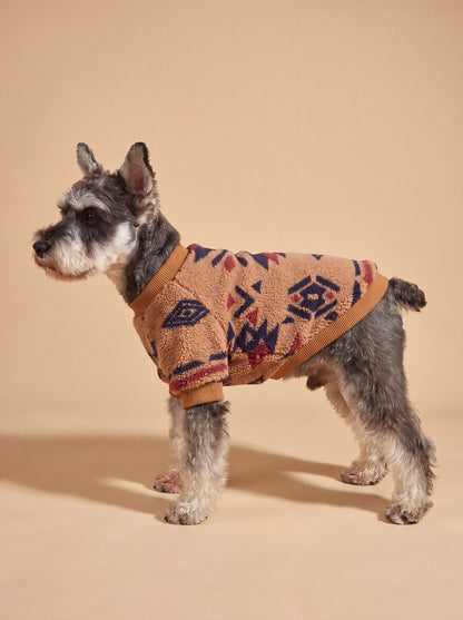 Petit chien en studio sur fond beige avec un pull sherpa motif ethnique caramel