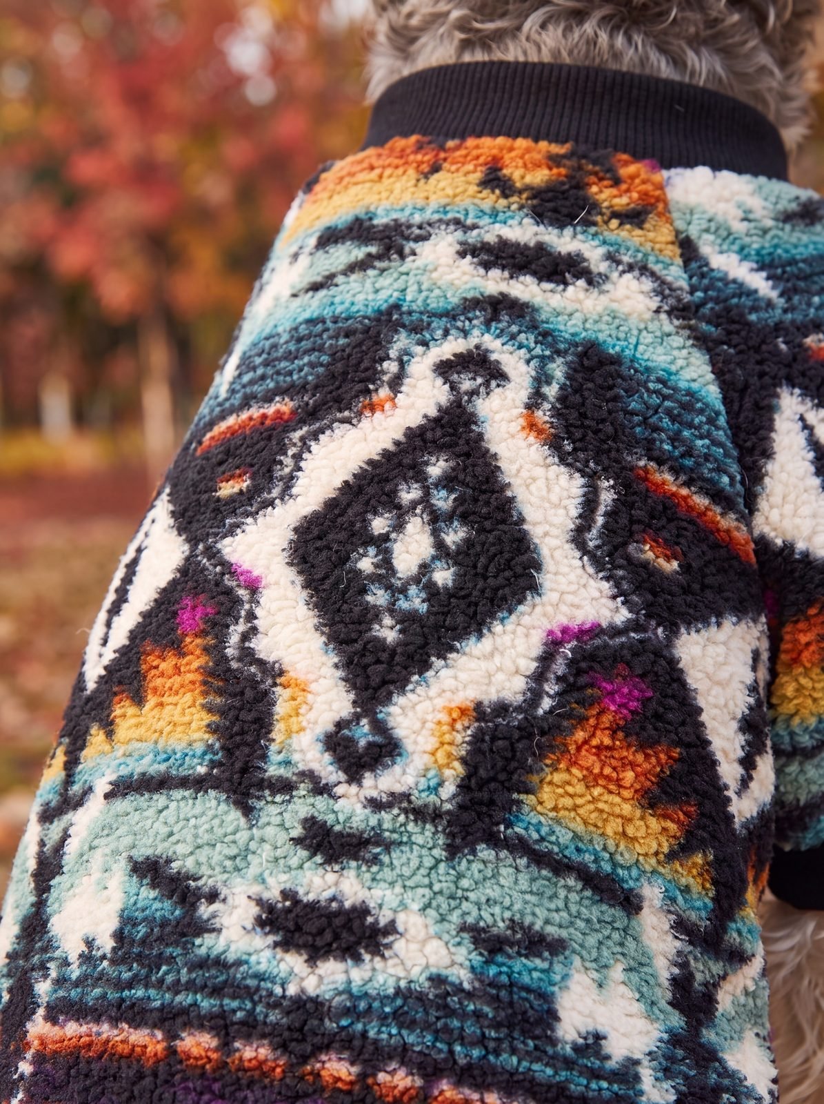 Gros plan sur le motif losange du pull chien sherpa multicolore