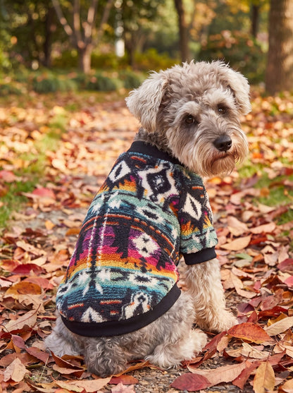 Pull chien sherpa motif ethnique multicolore vu de dos dans les feuilles d'automne