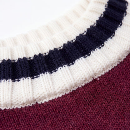 Gros plan sur le col côtelé rayé crème et bleu marine d'un pull chien tricot bordeaux