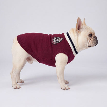 Bouledogue français de profil en studio dans un pull chien tricot bordeaux