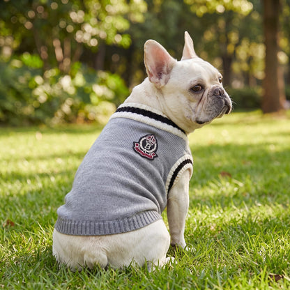 Bouledogue français vu de dos sur l'herbe dans un pull chien tricot gris