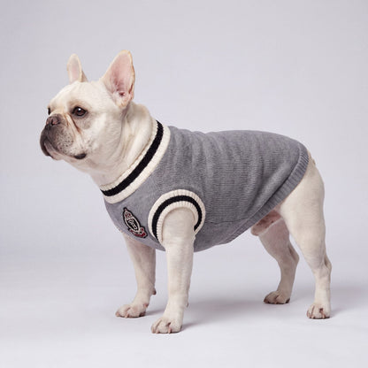 Bouledogue français en pull chien tricot gris sur fond de studio, vue de profil