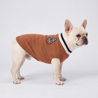 Bouledogue français de profil sur fond de studio avec un pull chien marron et écusson brodé dans le dos