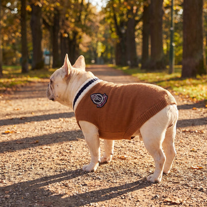 Bouledogue français en balade dans une allée d'automne avec un pull chien tricot marron et écusson dans le dos